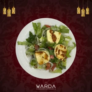 A plate of Halloumi Salad with grilled halloumi cheese, fresh lettuce, tomatoes, cucumber, red onion, and parsley, drizzled with lemon and olive oil dressing.