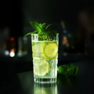 A glass of Mint Lemonade garnished with fresh mint leaves and lemon slices, served chilled.